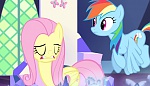 Season 5 picture