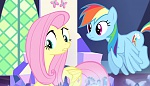Season 5 picture