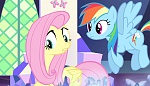 Season 5 picture