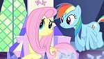 Season 5 picture