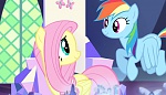 Season 5 picture