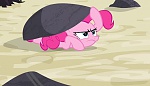 Season 5 picture