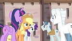 Season 5 picture