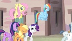 Season 5 picture