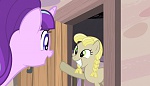 Season 5 picture