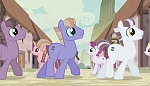 Season 5 picture