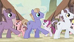 Season 5 picture