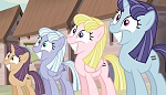 Season 5 picture
