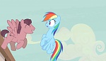 Season 5 picture