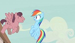 Season 5 picture