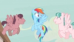 Season 5 picture