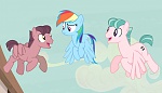 Season 5 picture