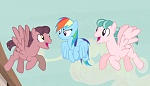 Season 5 picture