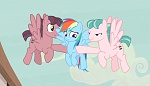 Season 5 picture