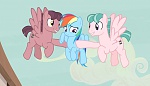 Season 5 picture