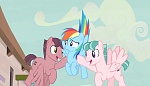 Season 5 picture