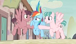Season 5 picture