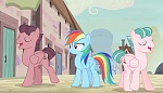Season 5 picture