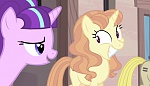 Season 5 picture