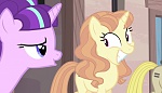 Season 5 picture