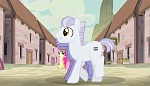 Season 5 picture