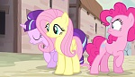 Season 5 picture