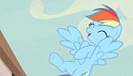 Season 5 picture