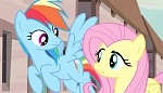 Season 5 picture