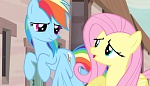 Season 5 picture