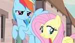 Season 5 picture