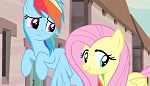 Season 5 picture