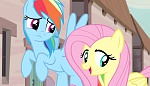 Season 5 picture