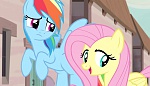 Season 5 picture