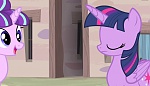 Season 5 picture
