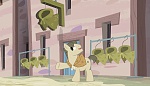 Season 5 picture
