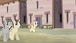Season 5 picture