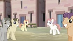 Season 5 picture