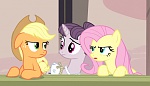 Season 5 picture