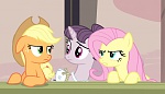 Season 5 picture
