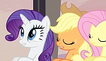 Season 5 picture