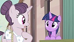 Season 5 picture