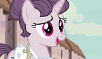 Season 5 picture
