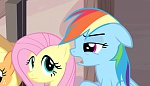 Season 5 picture