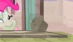 Season 5 picture