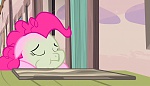 Season 5 picture