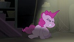 Season 5 picture