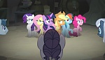 Season 5 picture