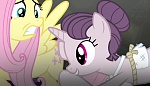 Season 5 picture