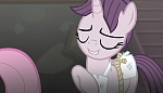 Season 5 picture