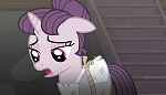 Season 5 picture